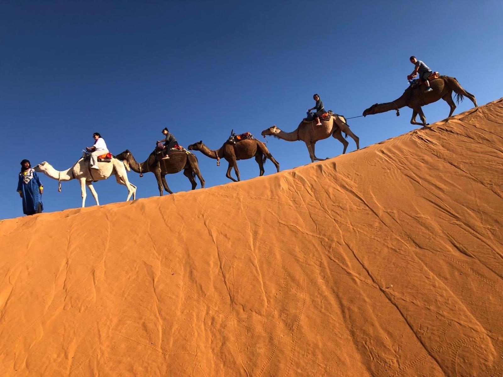 Riad Les jardins de Merzouga Buitenkant foto